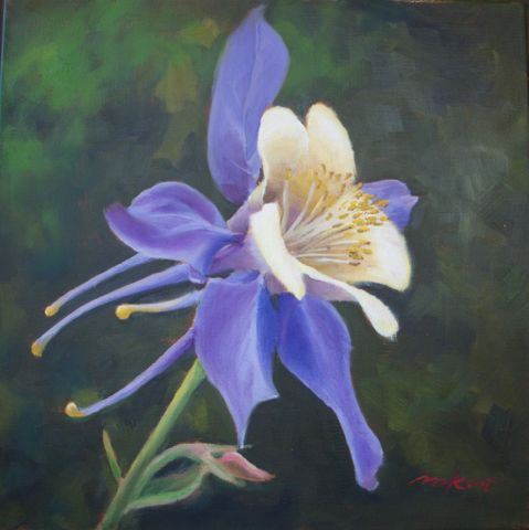 Blue and Yellow Colorado Columbine 12x12 at Hunter Wolff Gallery